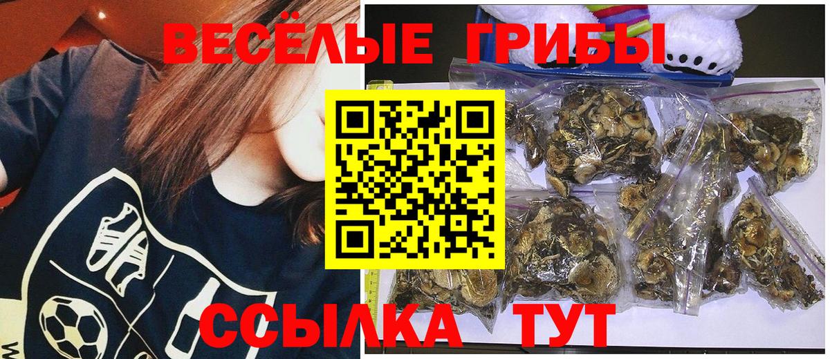 Галлюциногенные грибы Cubensis  Псилоцибиновые грибы GOLDEN TEACHER  Донецк  Вход с VPN 